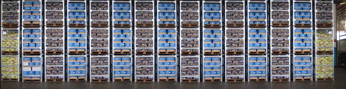 Montagem e desmontagem de Racks metálicos.